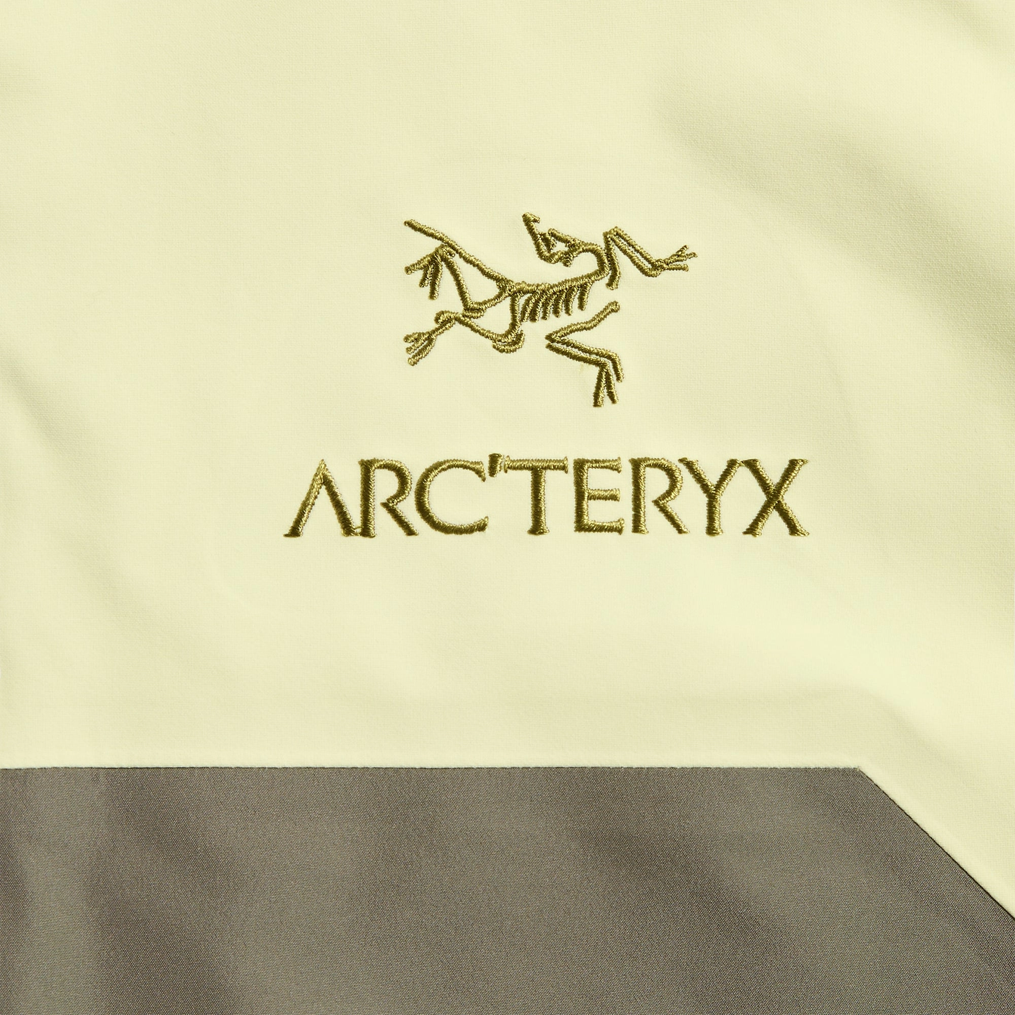 Arc'teryx Beta AR Jacket- Ray / Forage Weekend Vibe