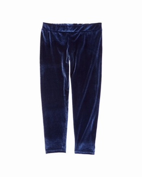 Mesh Lined Chaser Stretch Velvet Classic Legging