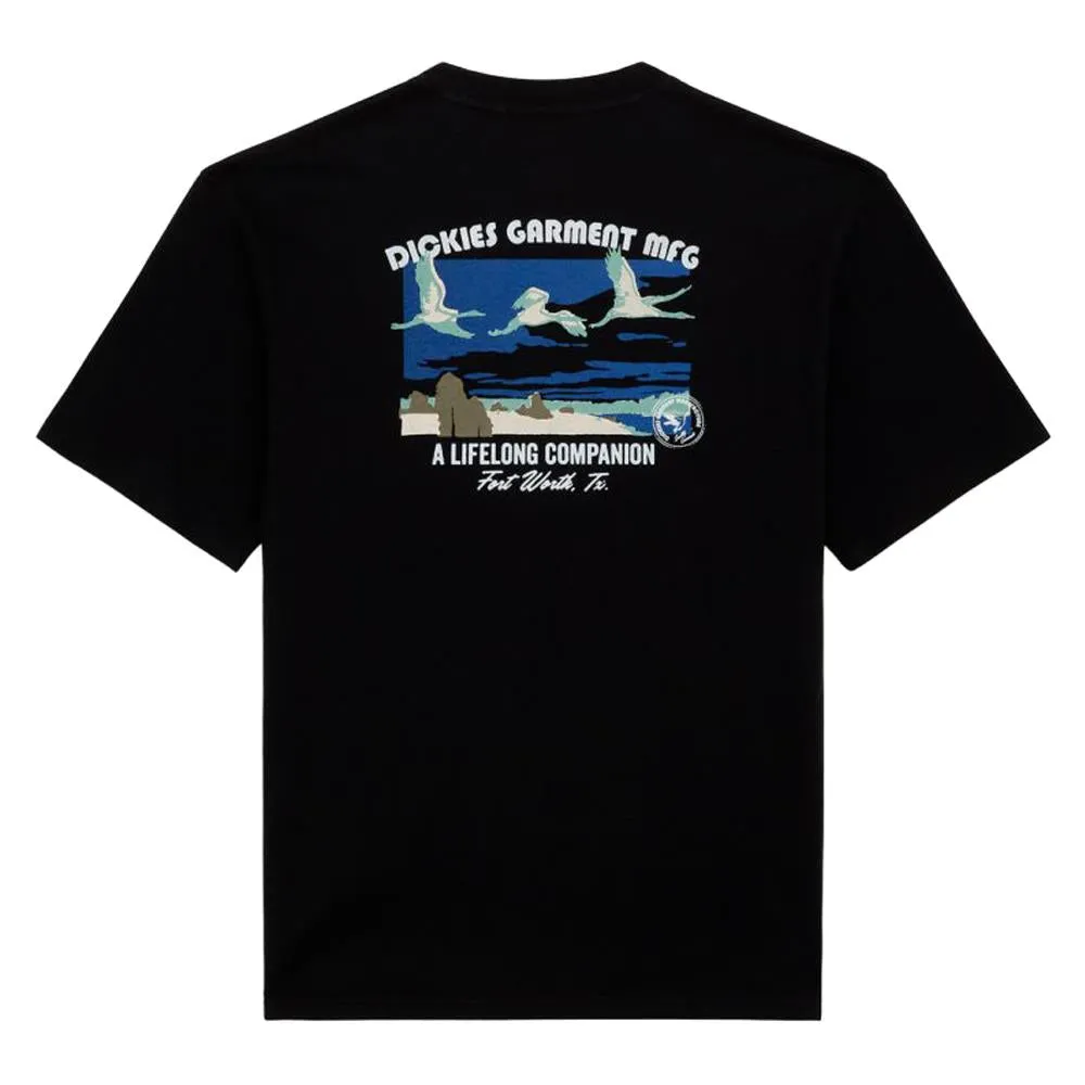 loose fitting Dickies Companion T-shirt - Black