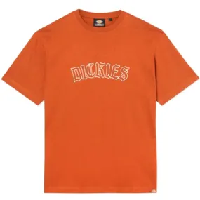 City Casual Dickies Union Springs T-Shirt - Gingerbread