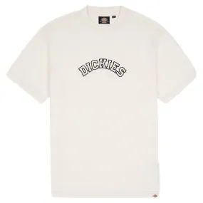 Sustainable production Dickies West Vale T-Shirt - Cloud
