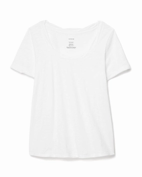 Wrinkle resistant fabric Gabriella Women's Plus-Size Cotton T-Shirt