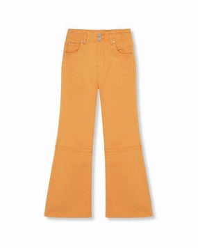 Habitual Flare Full Length Pant Smart Motion Statement Piece