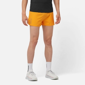 aluminum Salomon | Men's Cross 3" Shorts - Zinnia