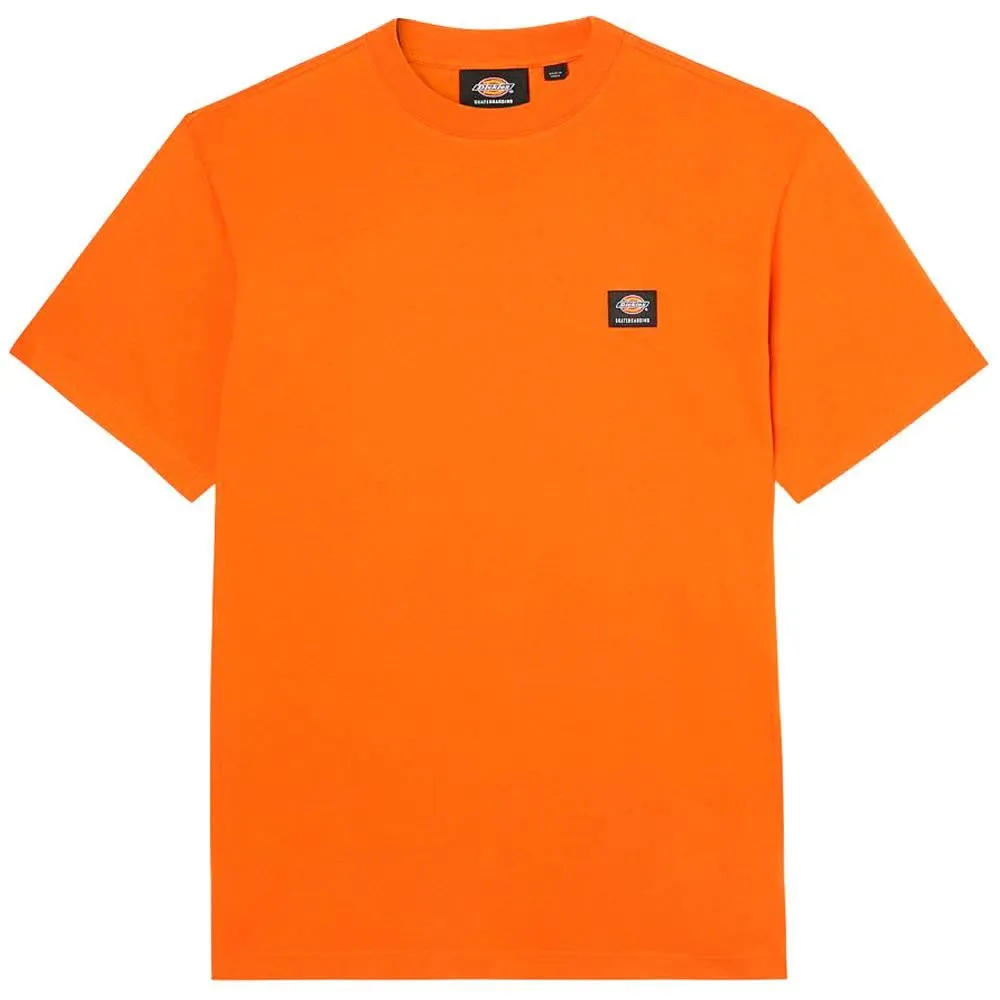Dickies Mount Vista T-Shirt - Burnt Orange winter warmth Layered Style