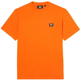 Dickies Mount Vista T-Shirt - Burnt Orange winter warmth Layered Style