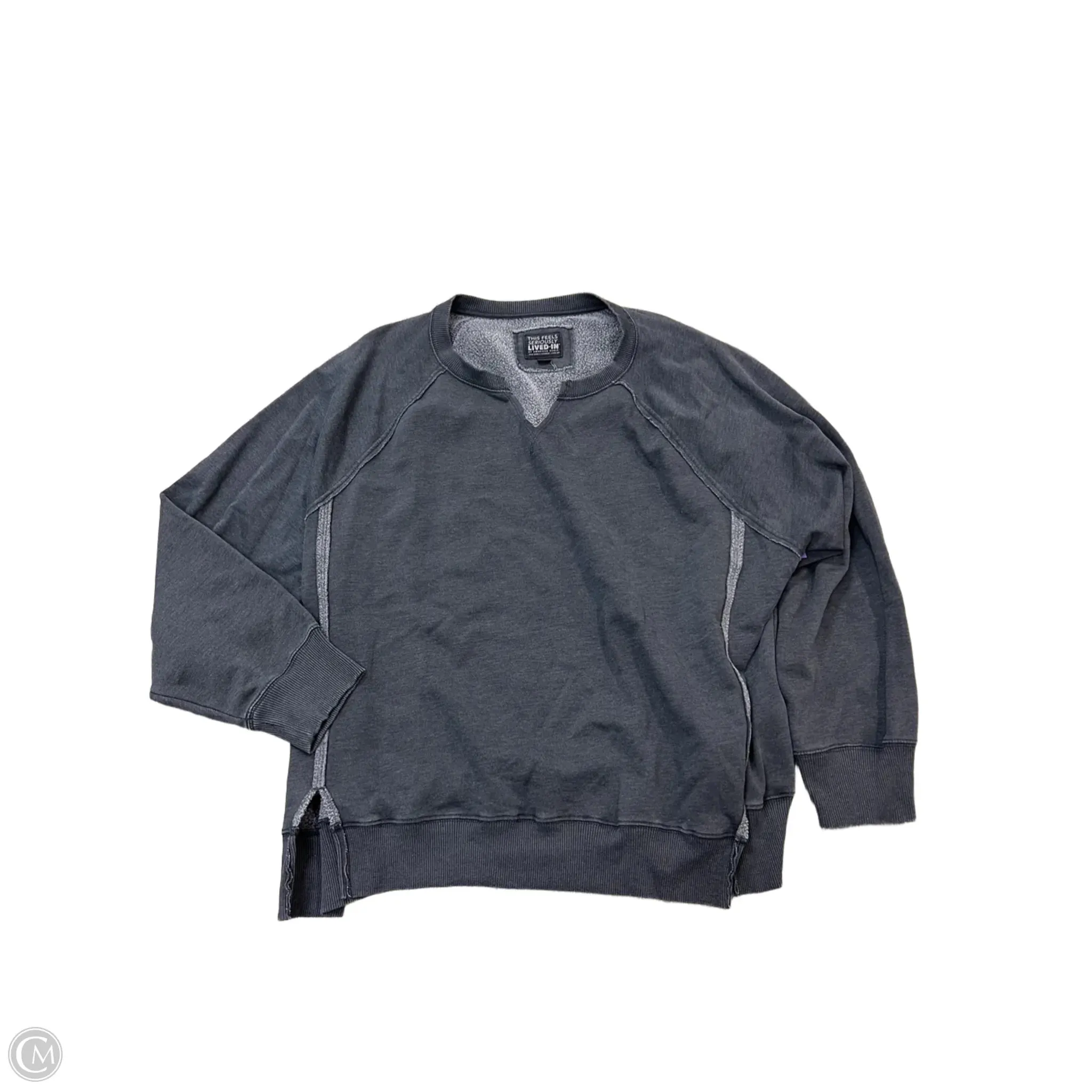 Versatile use Sweatshirt Crewneck By Aerie In Grey, Size: Xl