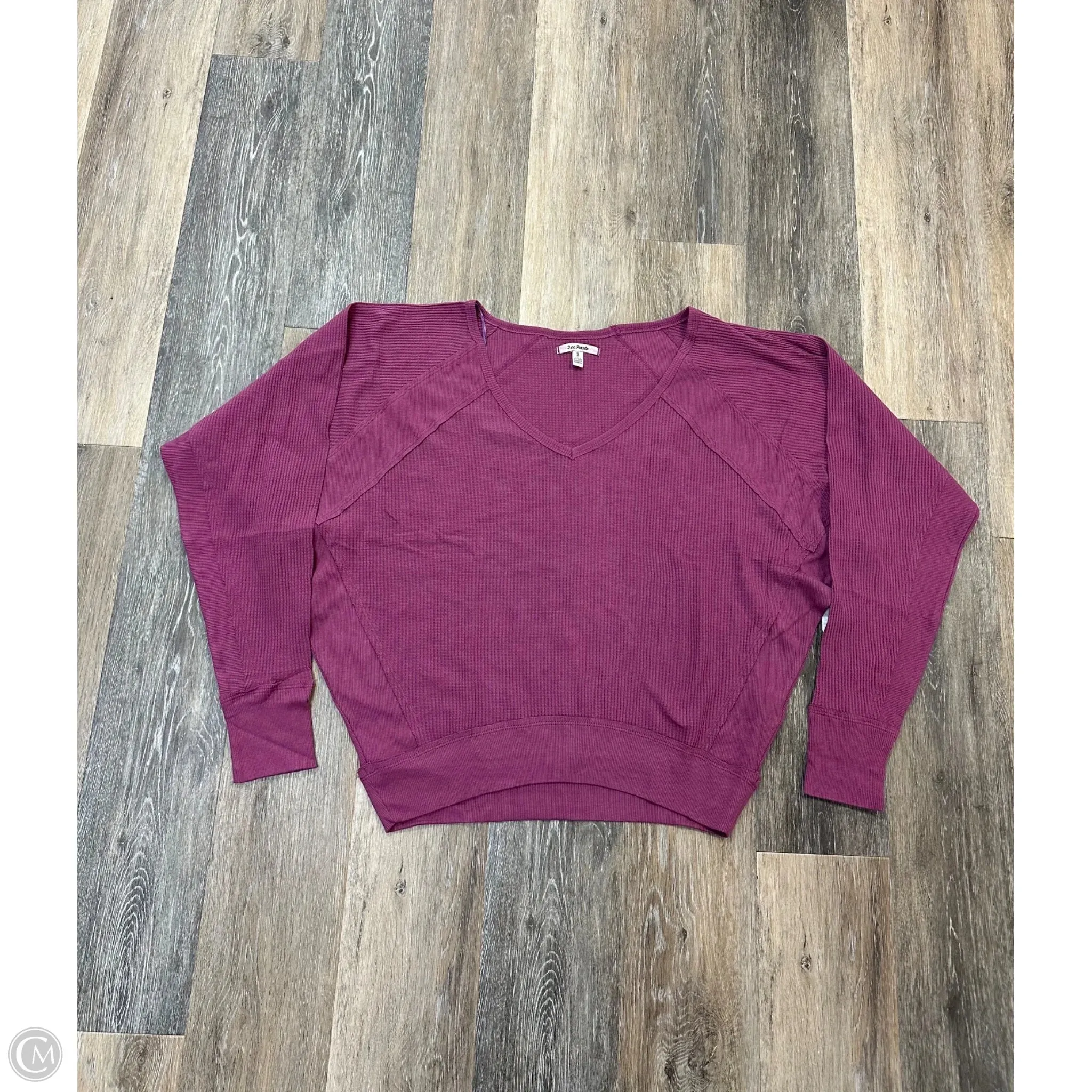 Biodegradable Fiber Brushed Microfiber Surface Top Long Sleeve By Free People In Mauve, Size: S
