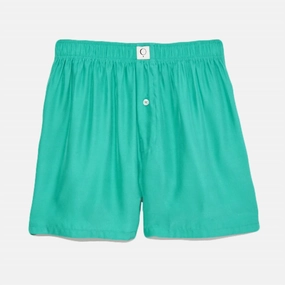 Women's Ravi Washable Silk Boxer In Emerald City Softened Edges